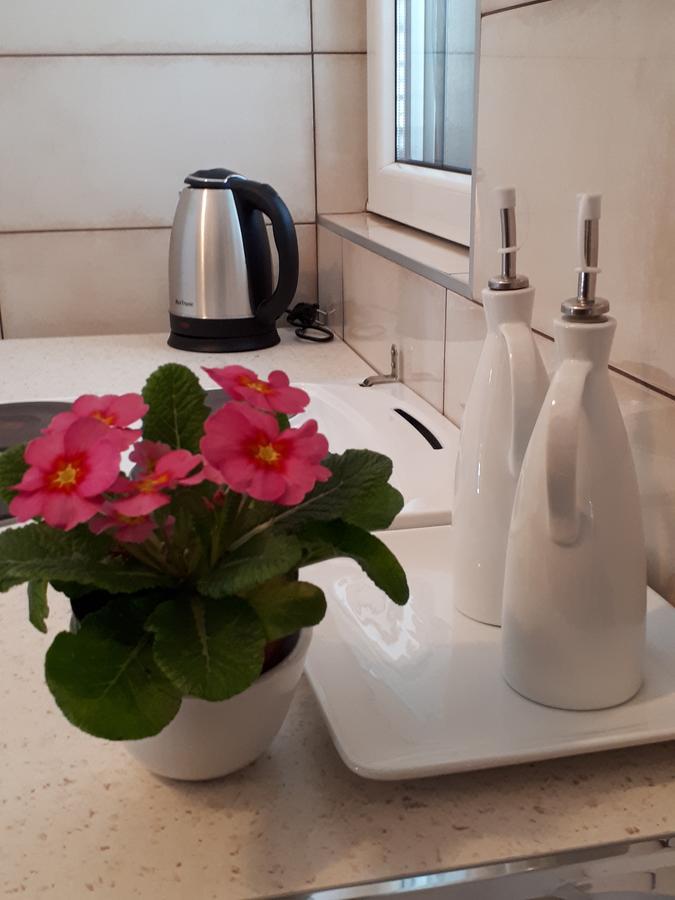 Momentera Apartments Κότορ Εξωτερικό φωτογραφία
